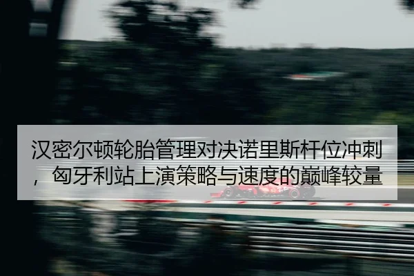 han-mi-er-dun-lun-tai-guan-li-dui-jue-nuo-li-si-gan-wei-chong-ci-xiong-ya-li-zhan-shang-yan-ce-lve-yu-su-du-de-dian-2-266.jpg