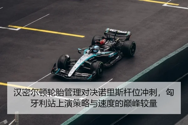 han-mi-er-dun-lun-tai-guan-li-dui-jue-nuo-li-si-gan-wei-chong-ci-xiong-ya-li-zhan-shang-yan-ce-lve-yu-su-du-de-dian-3-735.jpg