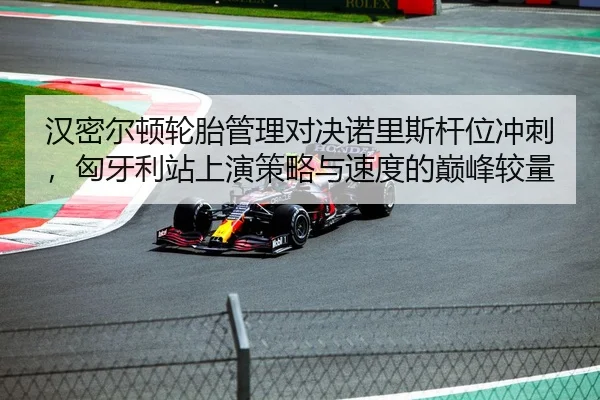 汉密尔顿轮胎管理对决诺里斯杆位冲刺，匈牙利站上演策略与速度的巅峰较量