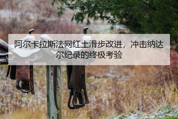 a-er-ka-la-si-fa-wang-hong-tu-hua-bu-gai-jin-chong-ji-na-da-er-ji-lu-de-zhong-ji-kao-yan-2-789.jpg