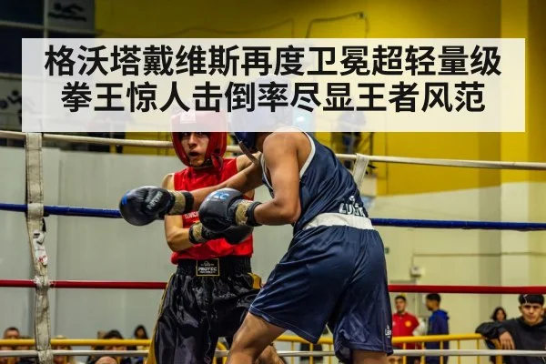 boxer in ring